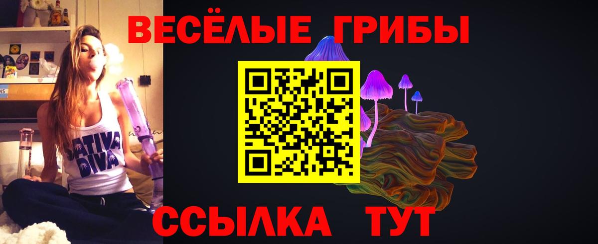 Псилоцибиновые грибы Psilocybe Сочи