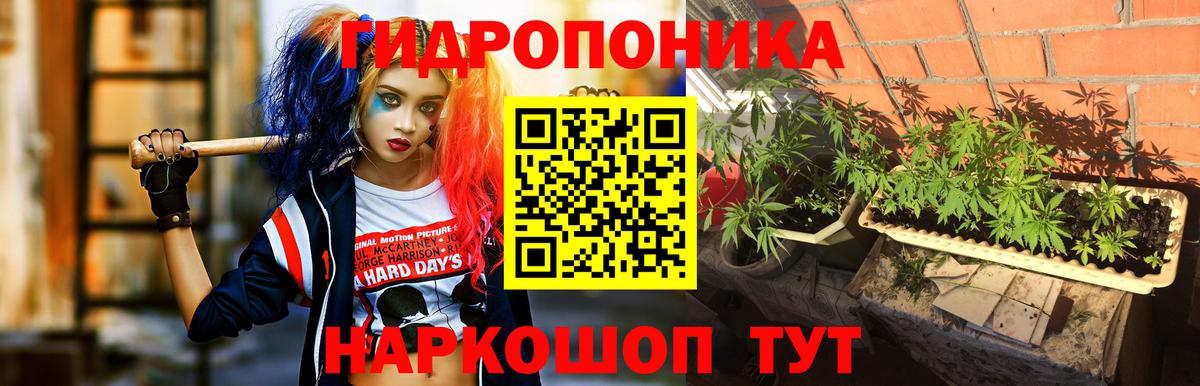 Бошки марихуана гибрид  Каннабис MAZAR  Сочи  Марихуана тримм  Вход с VPN 